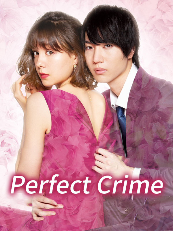 Perfect Crime