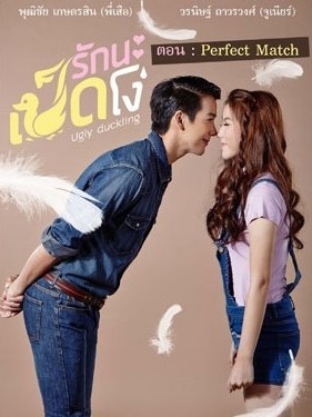 Ugly Duckling Series: Perfect Match