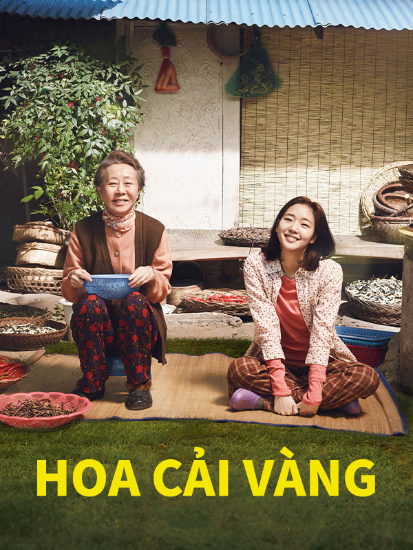 Hoa Cải Vàng