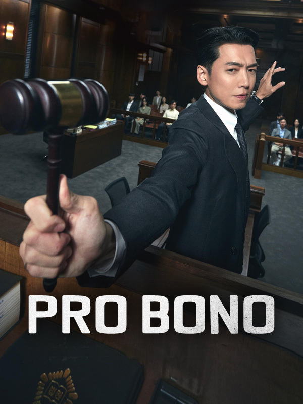 Pro Bono