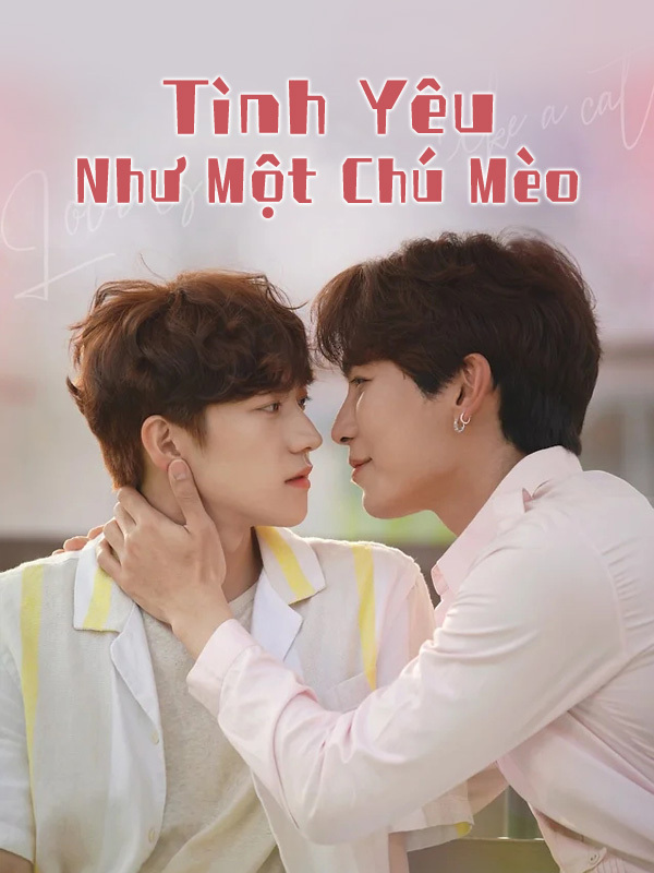 Tình Yêu Như Một Chú Mèo