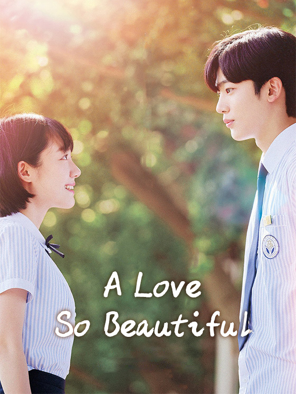 A Love So Beautiful