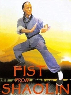 Fist from Shaolin