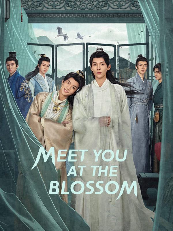 Meet You at the Blossom