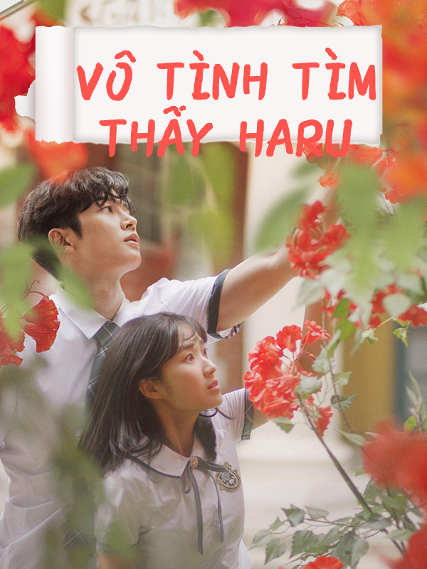 Vô Tình Tìm Thấy Haru