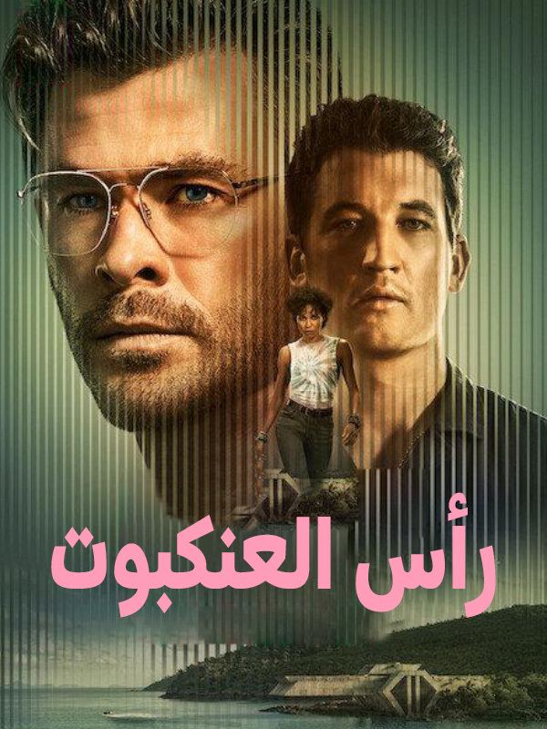 رأس العنكبوت ‎