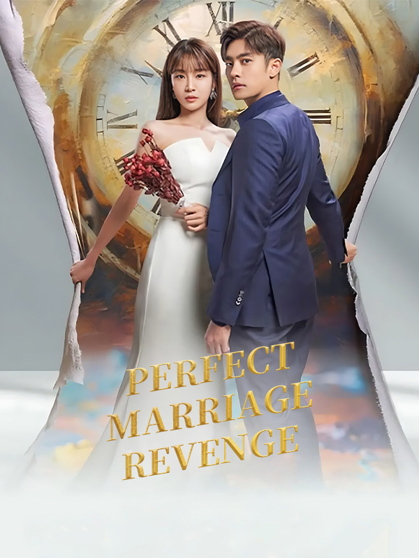 Perfect Marriage Revenge