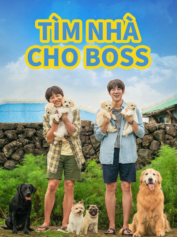 Tìm Nhà Cho Boss