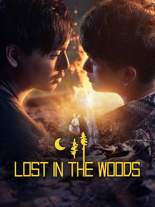 Lost in the Woods