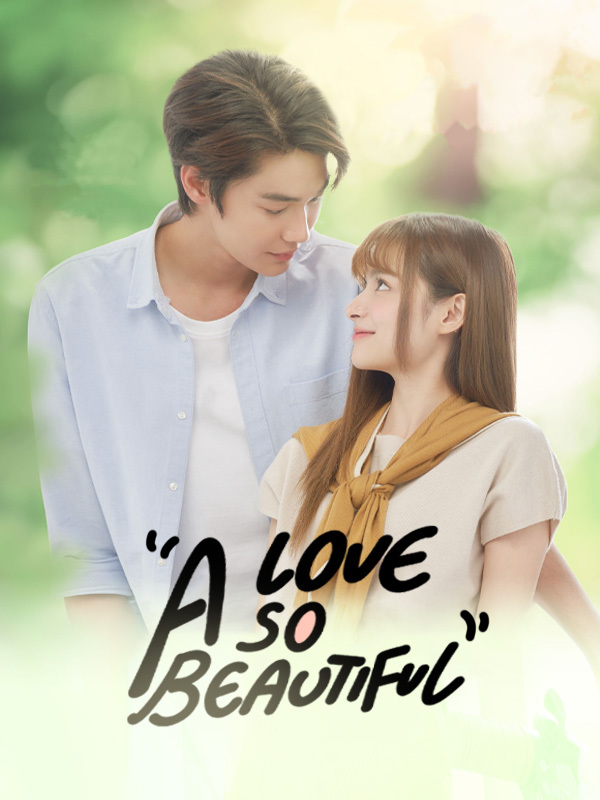 A Love So Beautiful