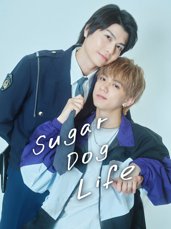 Sugar Dog Life