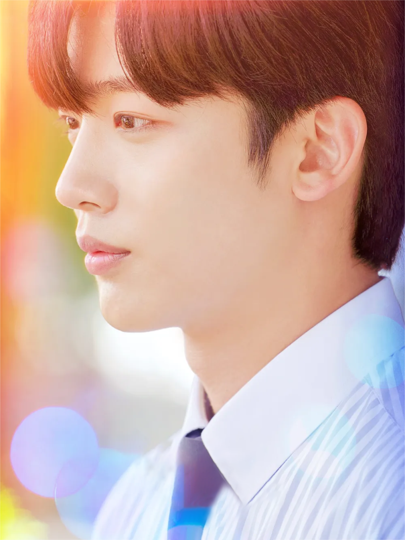A Love So Beautiful