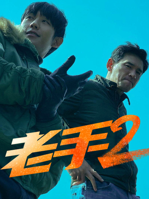 老手2