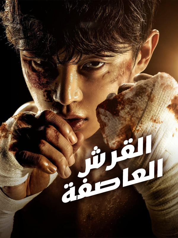 القرش 2: العاصفة 