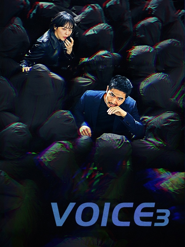 Voice 3