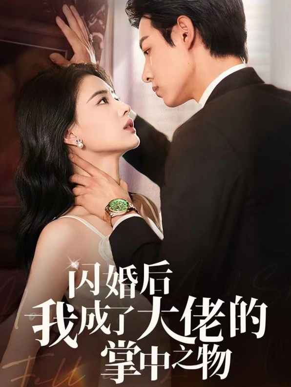 闪婚后我成了大佬的掌中之物