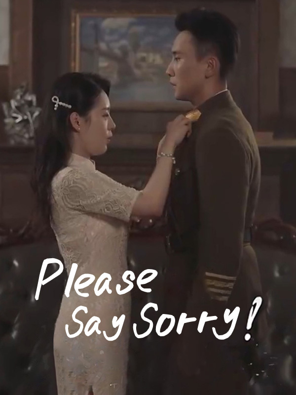 Please Say Sorry