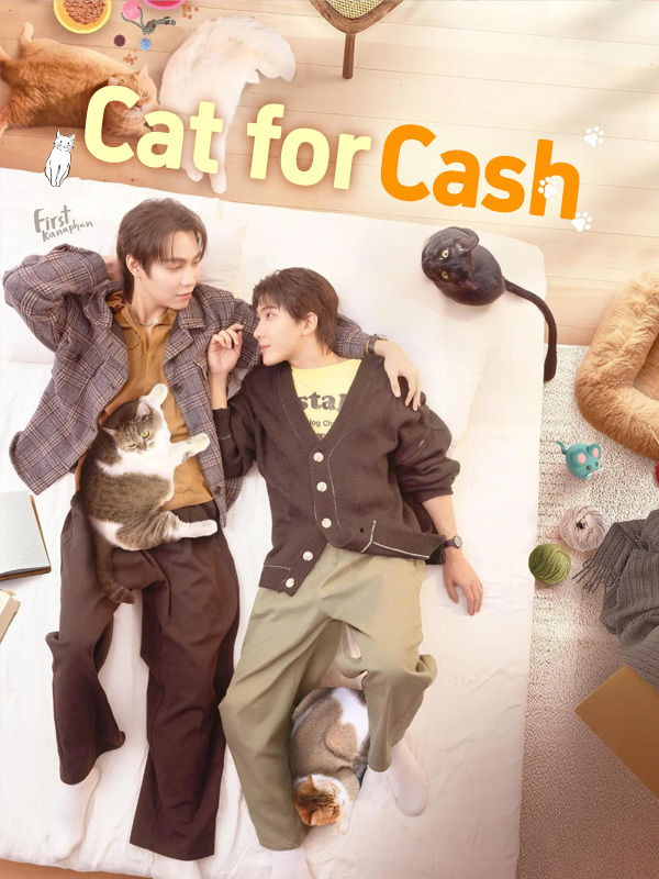 Cat for Cash
