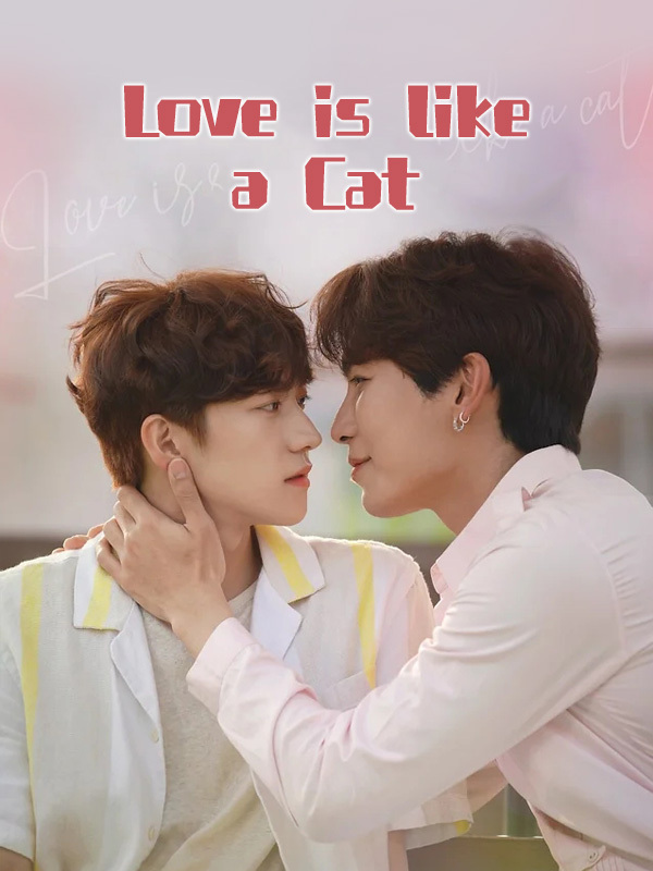 Love is like a Cat