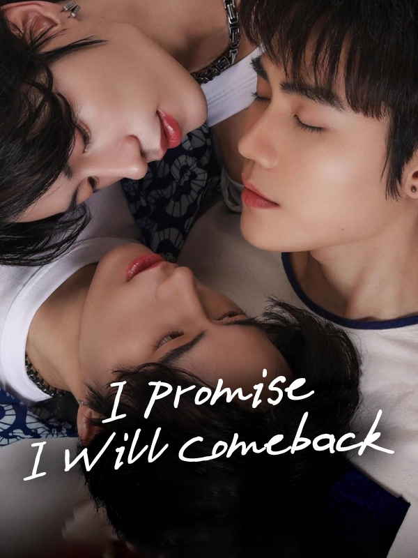 I Promise I Will Comeback