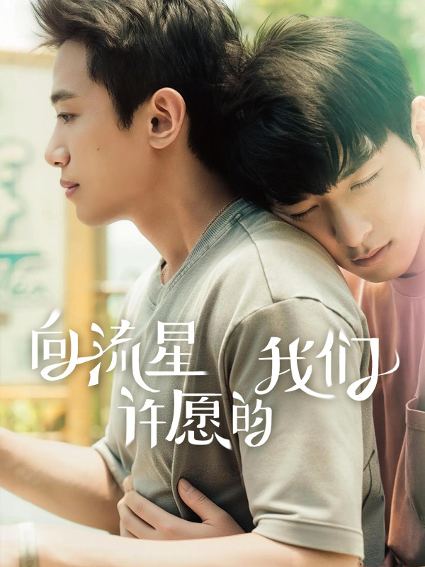 向流星许愿的我们