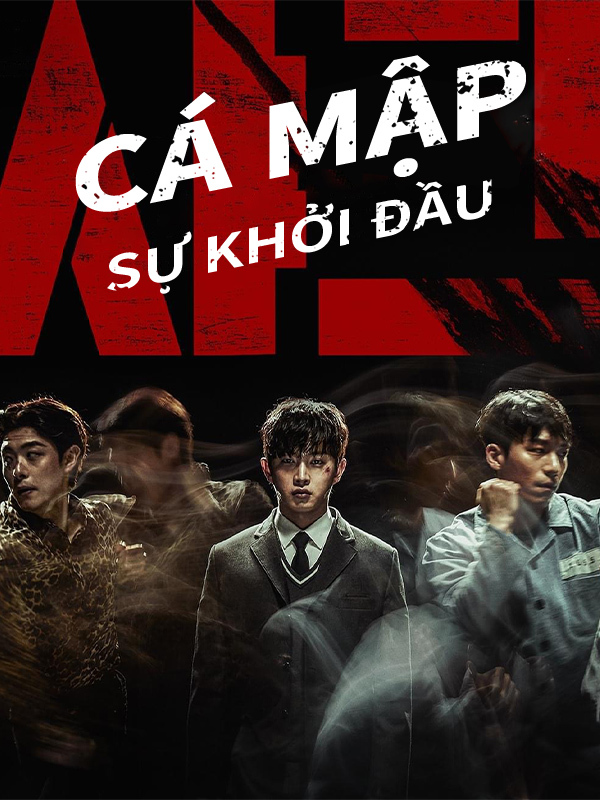 Cá Mập: Sự Khởi Đầu