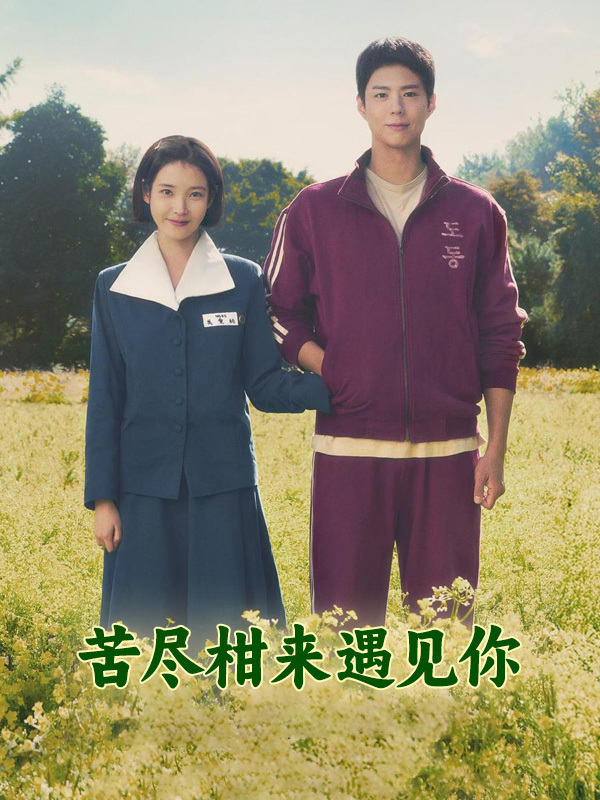 苦尽柑来遇见你